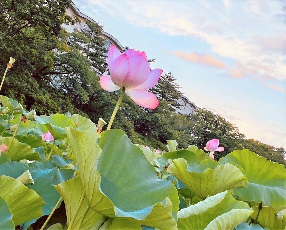 🏛️ 아키 시립 역사 민속 자료관 (아키시리츠레키시민조쿠시료칸) 이미지 7